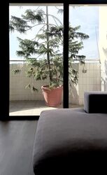 Blk 838 Hougang Central (Hougang), HDB Executive #575054351